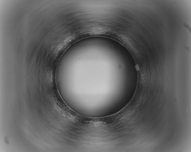 X0000101700539200807101539