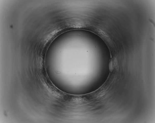 X0000101700540200807101539
