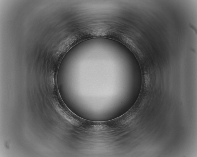 X0000101700541200807101539