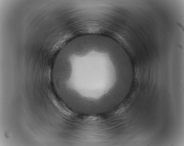 X0000101700542200807101539