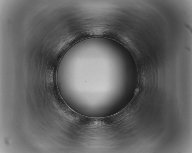 X0000101700543200807101539