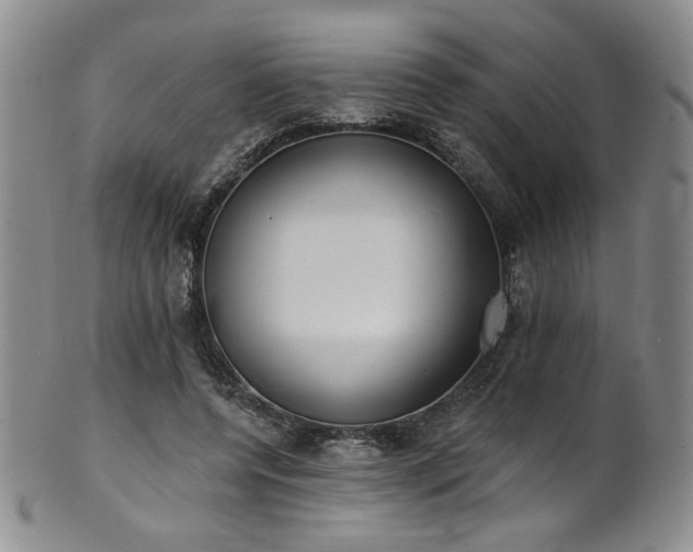 X0000101700544200807101539