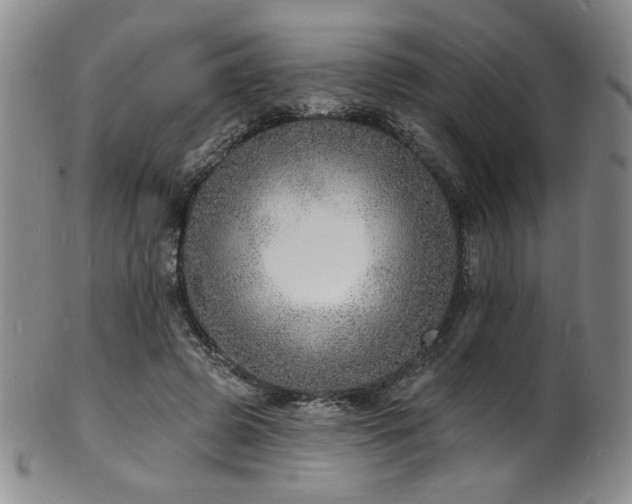 X0000101700545200807101539