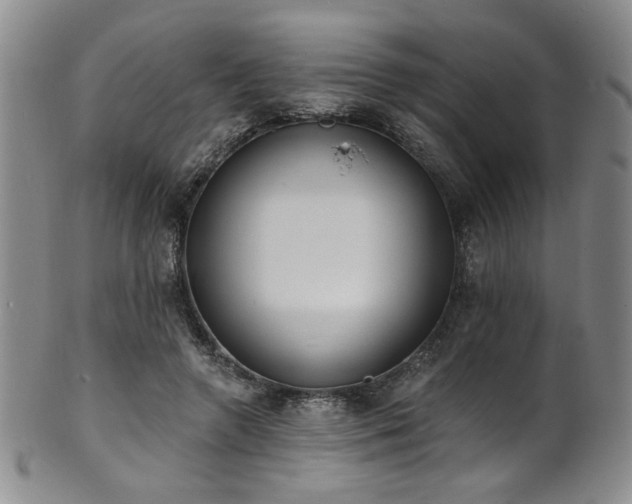 X0000101700546200807101539