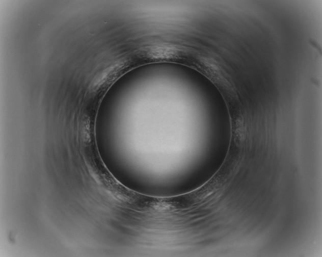 X0000101700547200807101539