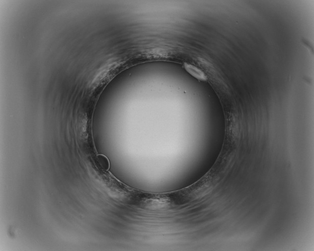 X0000101700548200807101539