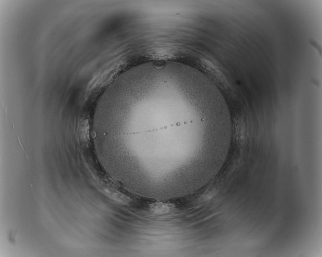 X0000101700549200807101539