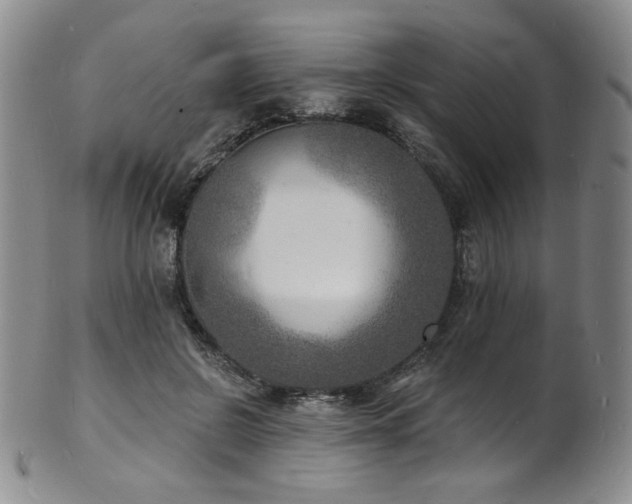 X0000101700550200807101539