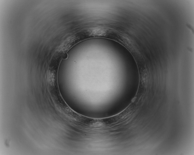 X0000101700551200807101539