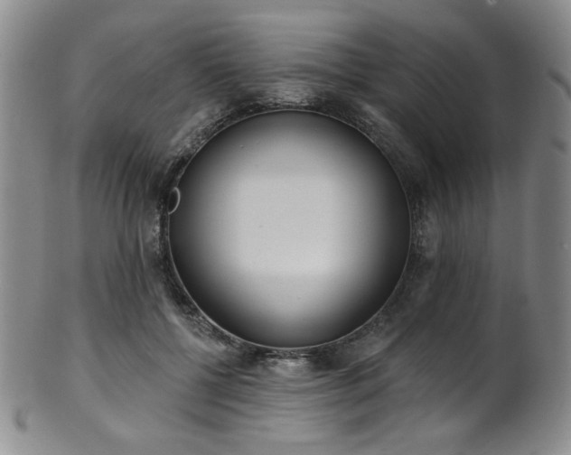 X0000101700552200807101539