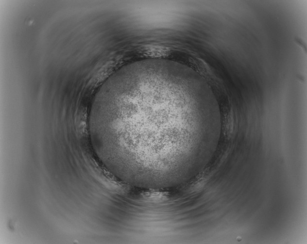 X0000101700553200807101539
