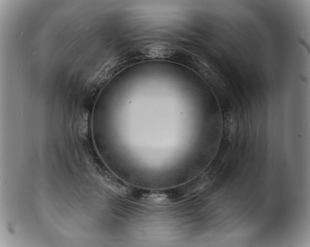 X0000101700554200807101539