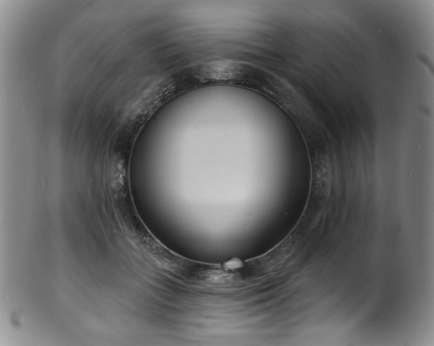 X0000101700555200807101539