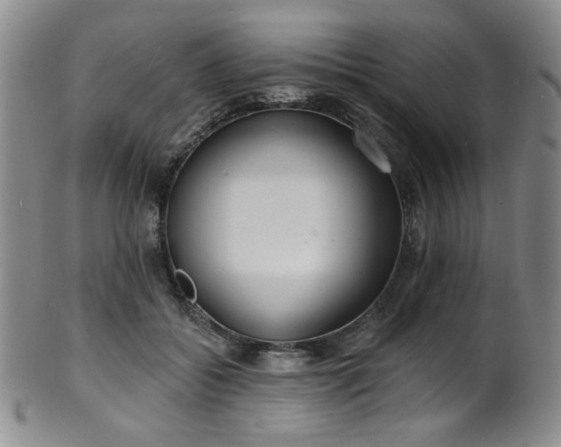 X0000101700556200807101539