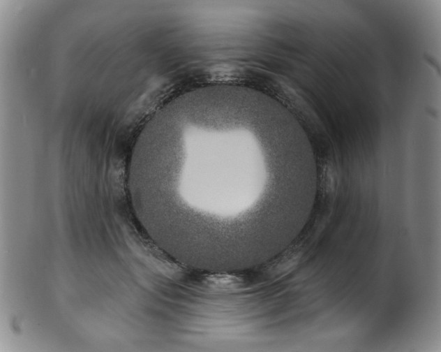X0000101700557200807101539