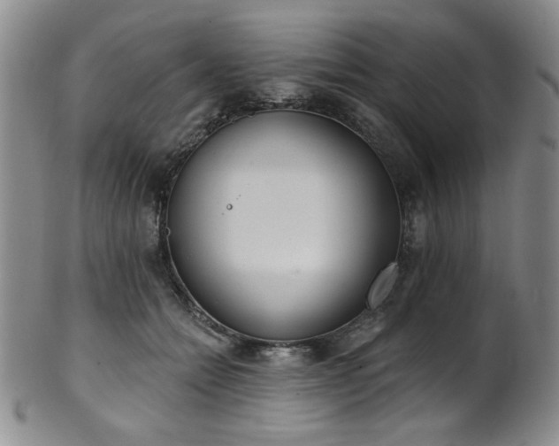 X0000101700558200807101539