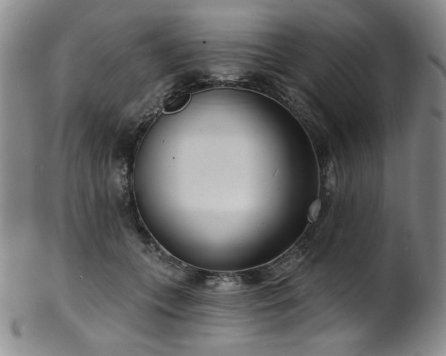 X0000101700559200807101539