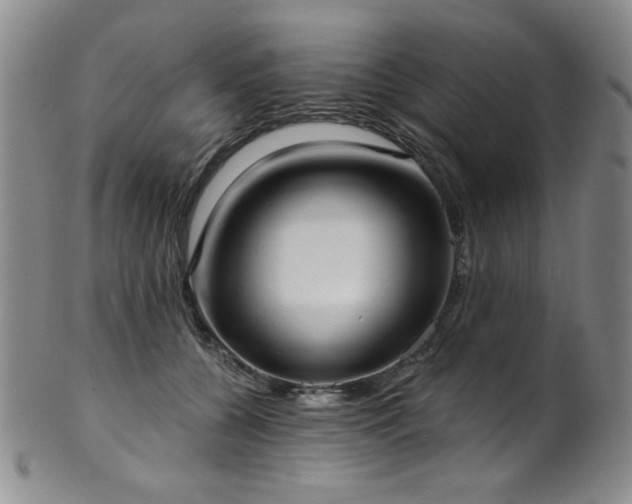X0000101700560200807101539