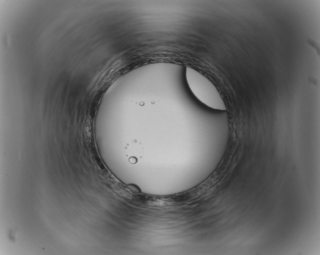 X0000101700561200807101539