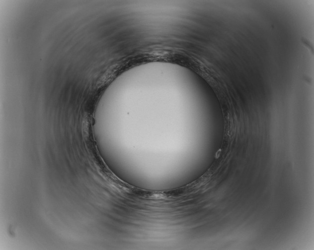 X0000101700562200807101539