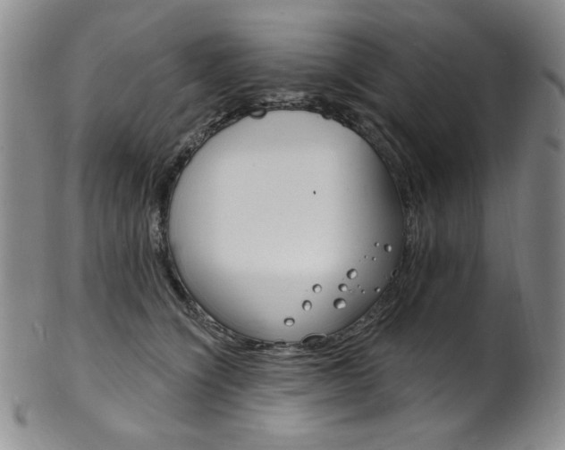 X0000101700564200807101539