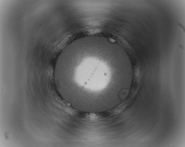 X0000101700565200807101539