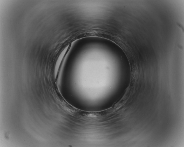X0000101700566200807101539