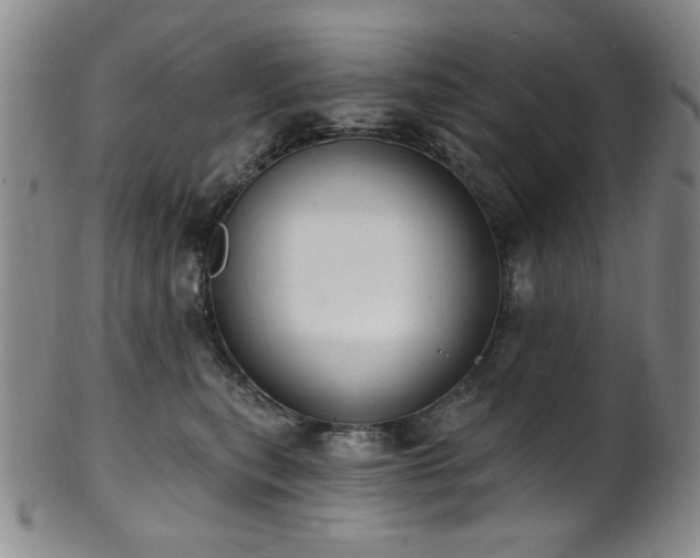 X0000101700567200807101539