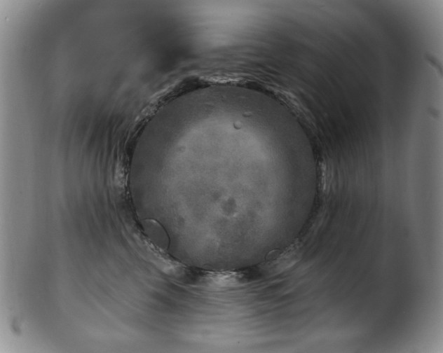 X0000101700569200807101539
