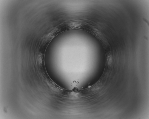 X0000101700570200807101539