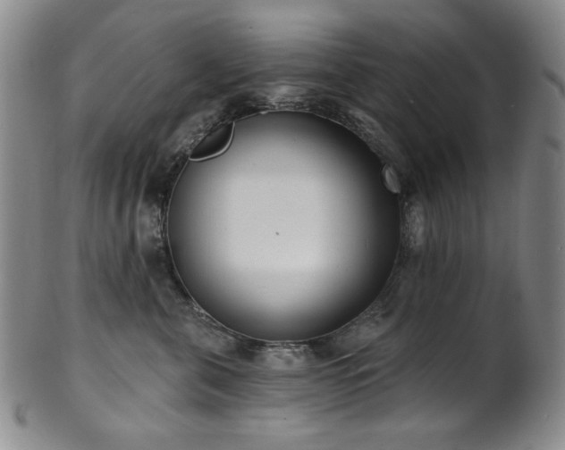 X0000101700571200807101539