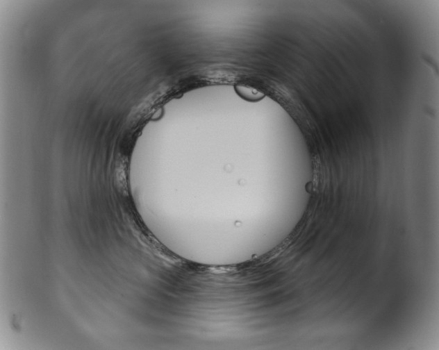 X0000101700573200807101539