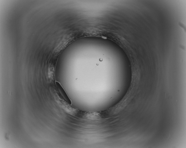 X0000101700576200807101540