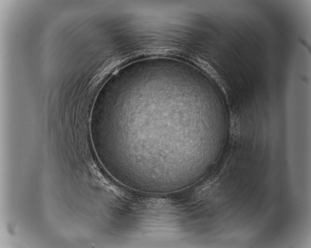 X0000101700577200807101539