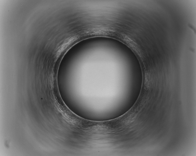 X0000101700578200807101539