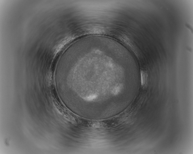 X0000101700579200807101539