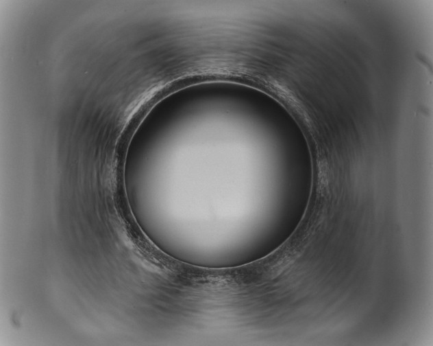 X0000101700580200807101539