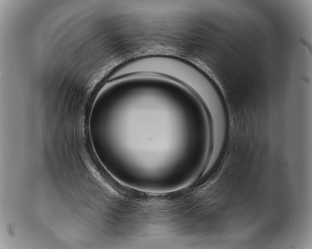 X0000101700581200807101539