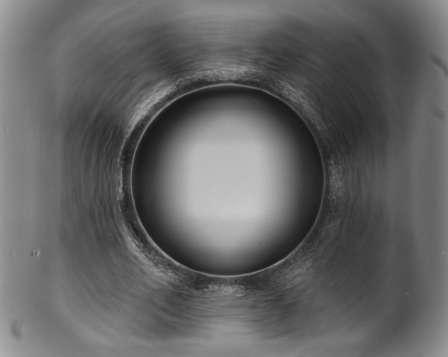 X0000101700582200807101539