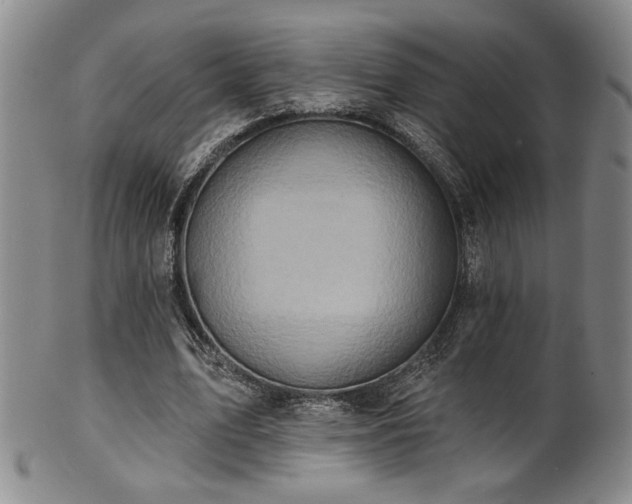 X0000101700583200807101539