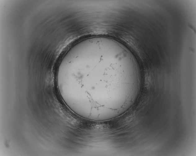 X0000101700584200807101539