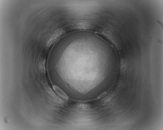 X0000101700585200807101539