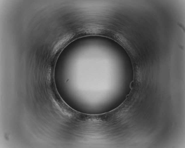 X0000101700586200807101539