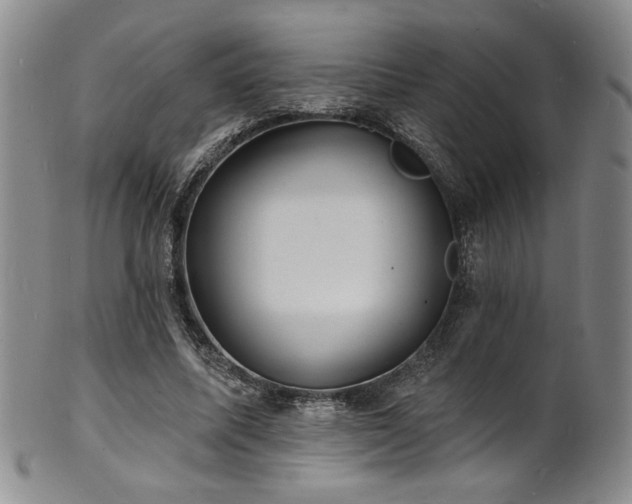X0000101700587200807101539