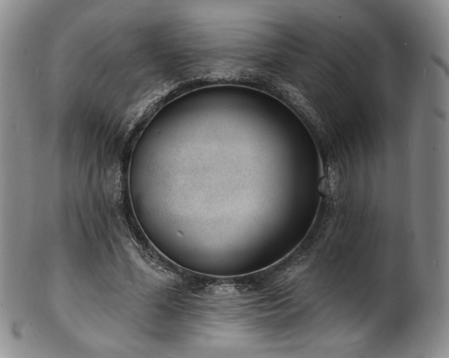 X0000101700588200807101539