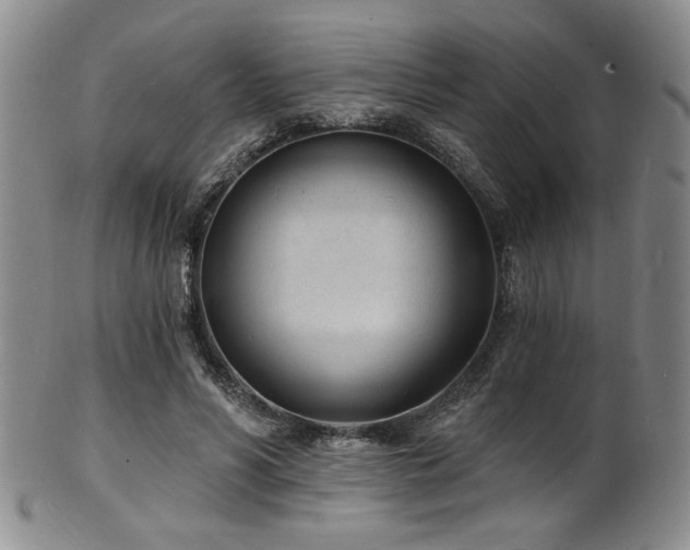 X0000101700590200807101539