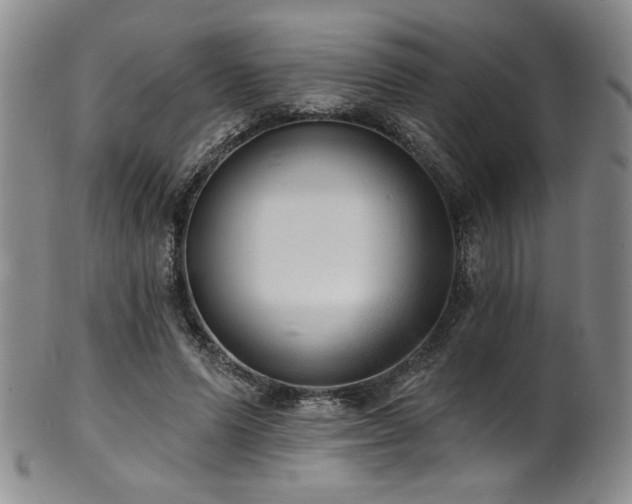 X0000101700591200807101539