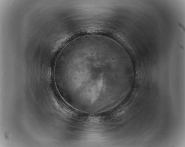 X0000101700592200807101539