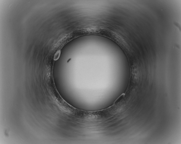 X0000101700593200807101539