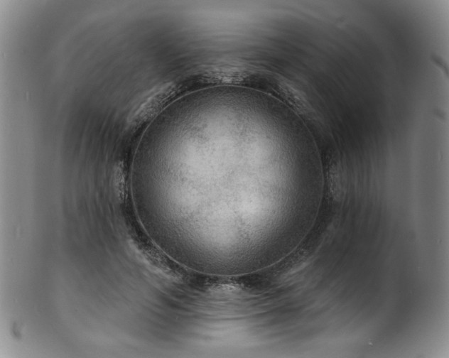 X0000101700594200807101539